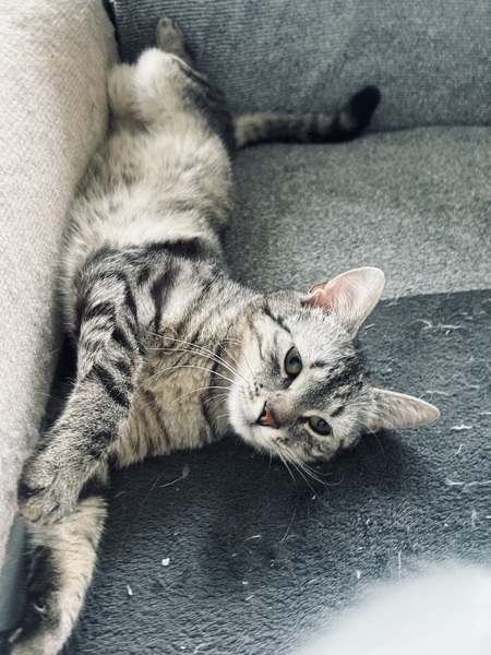 Otik