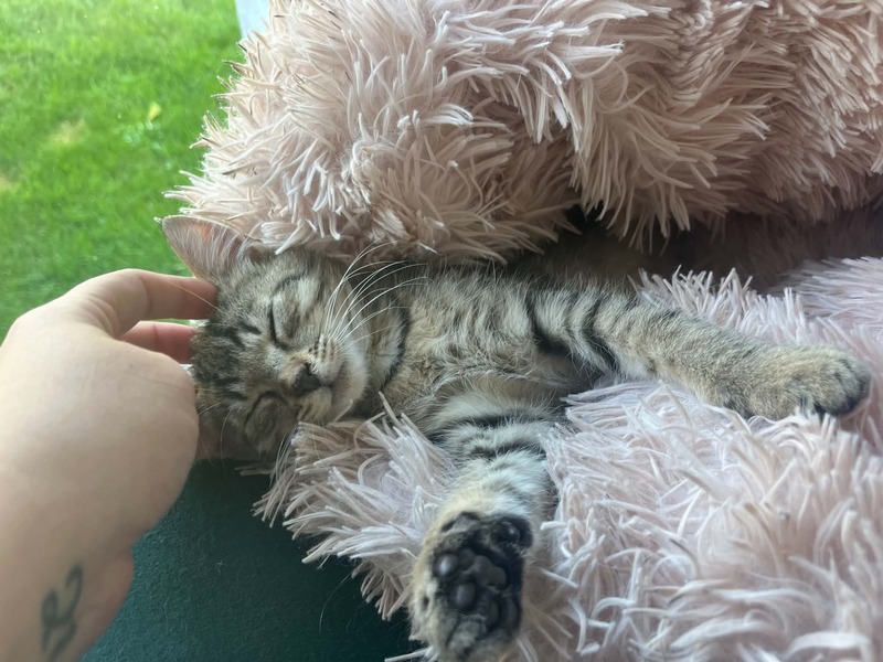 Oliver